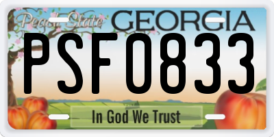 GA license plate PSF0833