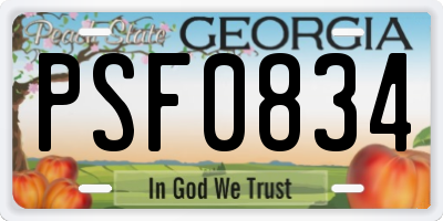 GA license plate PSF0834