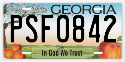 GA license plate PSF0842