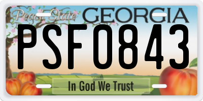 GA license plate PSF0843