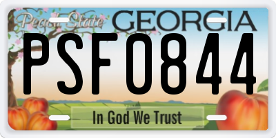 GA license plate PSF0844
