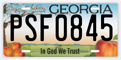 GA license plate PSF0845