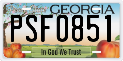 GA license plate PSF0851