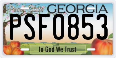 GA license plate PSF0853