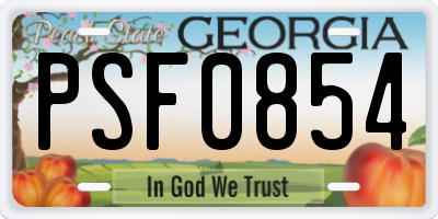 GA license plate PSF0854