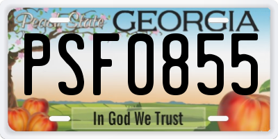 GA license plate PSF0855