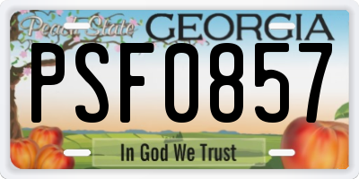 GA license plate PSF0857