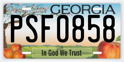 GA license plate PSF0858