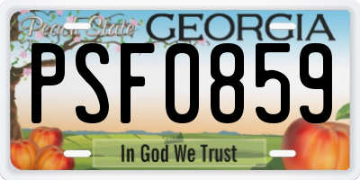 GA license plate PSF0859