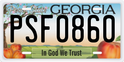GA license plate PSF0860