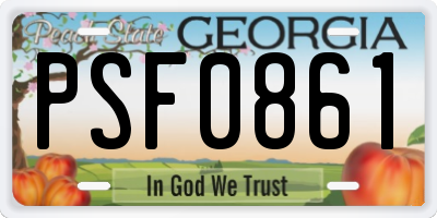 GA license plate PSF0861