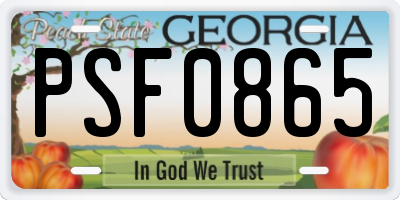 GA license plate PSF0865