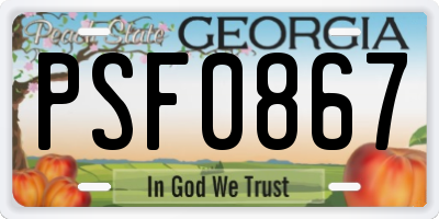 GA license plate PSF0867