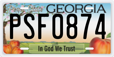 GA license plate PSF0874