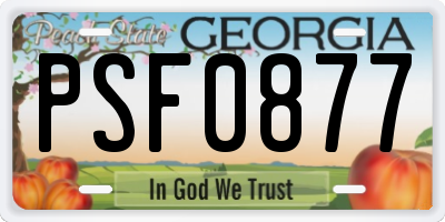 GA license plate PSF0877
