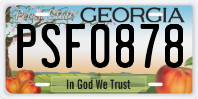 GA license plate PSF0878