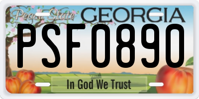 GA license plate PSF0890