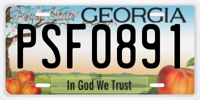 GA license plate PSF0891