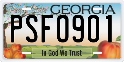 GA license plate PSF0901