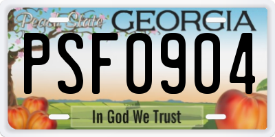 GA license plate PSF0904