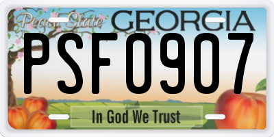 GA license plate PSF0907