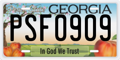 GA license plate PSF0909