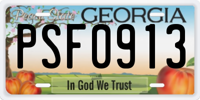 GA license plate PSF0913