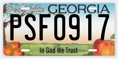 GA license plate PSF0917