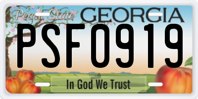 GA license plate PSF0919