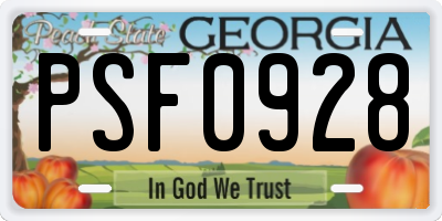 GA license plate PSF0928