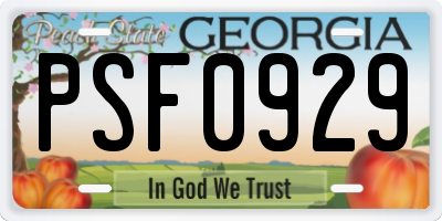GA license plate PSF0929