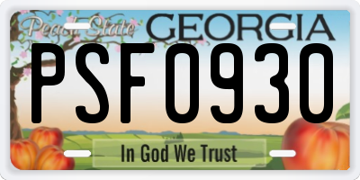 GA license plate PSF0930