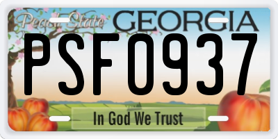 GA license plate PSF0937