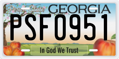 GA license plate PSF0951