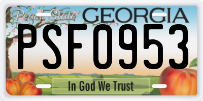 GA license plate PSF0953