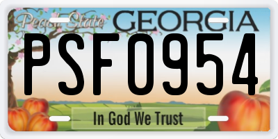 GA license plate PSF0954
