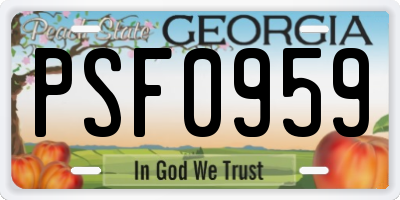 GA license plate PSF0959