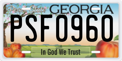 GA license plate PSF0960