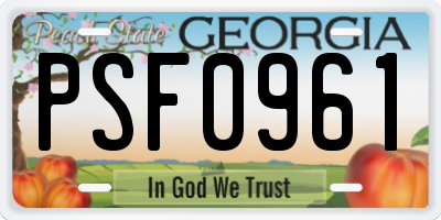 GA license plate PSF0961