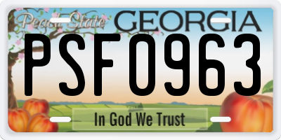 GA license plate PSF0963