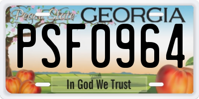 GA license plate PSF0964
