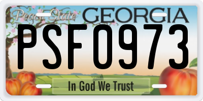 GA license plate PSF0973