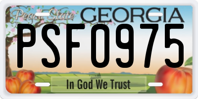 GA license plate PSF0975