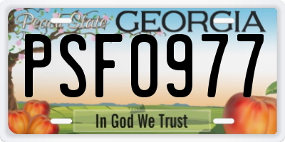 GA license plate PSF0977