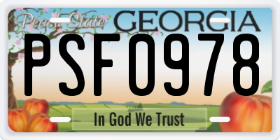 GA license plate PSF0978