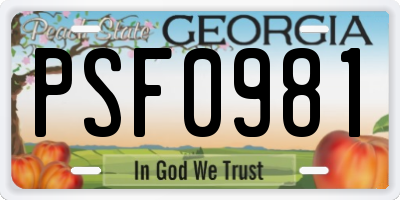 GA license plate PSF0981