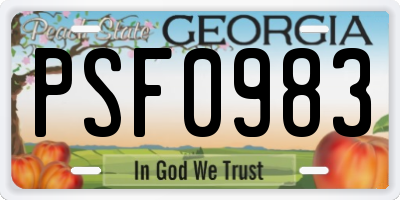 GA license plate PSF0983