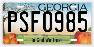 GA license plate PSF0985