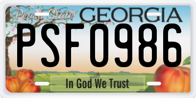 GA license plate PSF0986