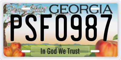 GA license plate PSF0987